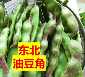 (Y1) 【断货中，5月恢复供应】东北油豆角种子一包30粒，一年内新种子，发芽率近100%。 抗热品种，可在休斯顿阴凉处种植